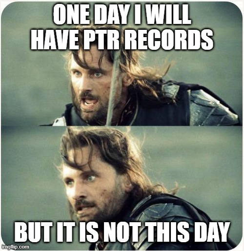 Aragorn, mid-speech: 'One day I will have PTR records.' Second panel, considerably less confident: 'But it is not this day.'